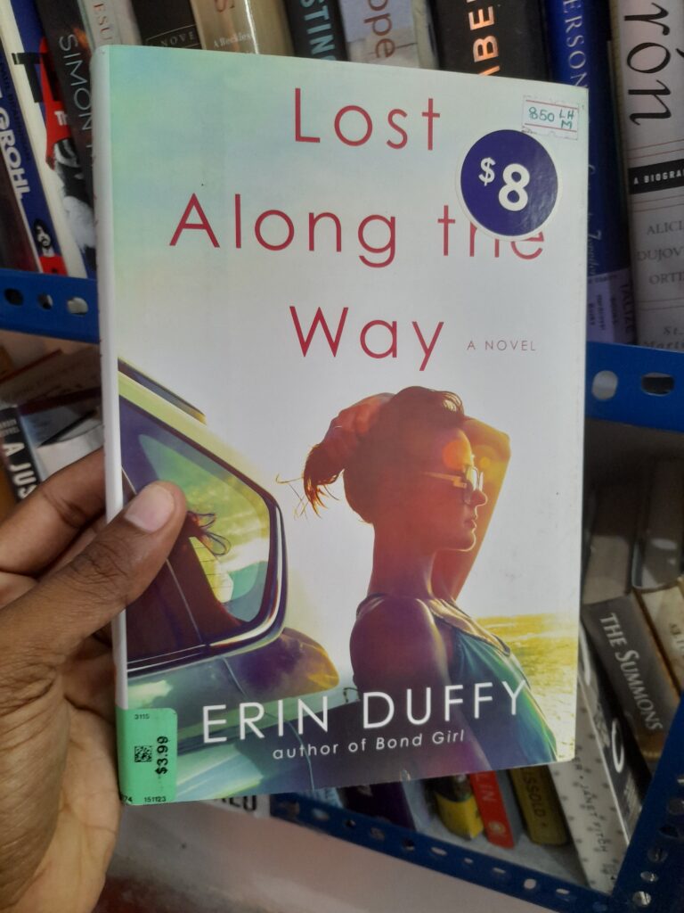 Lost Along the Way cover